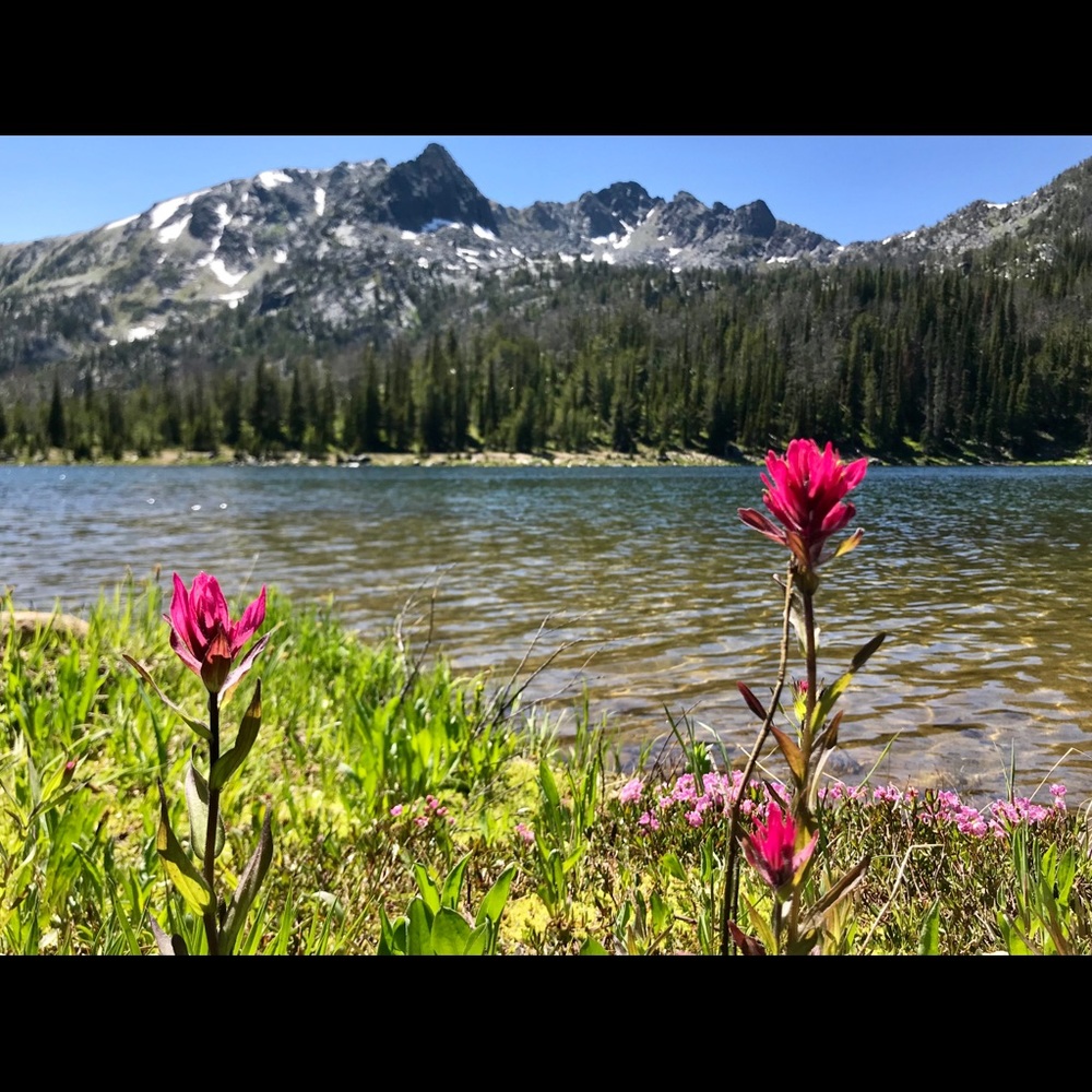 Meet your Posher, Kiersten